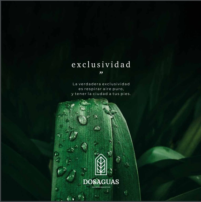 proyecto imagenes